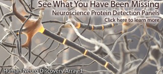 Neuroscience_Arrays_-_7